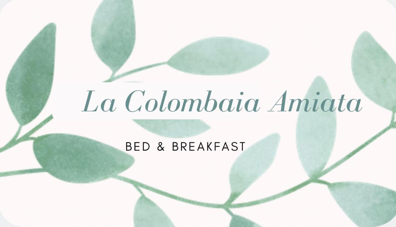 La Colombaia Amiata Bed & Breakfast Arcidosso Ngoại thất bức ảnh